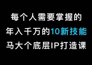 马大个的IP底层逻辑课,每个人需要掌握的年入千万的10新技能,约会底层IP打造方法!-风淘社