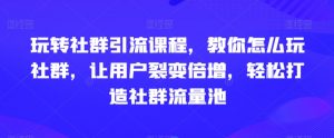玩转社群引流课程，教你怎么玩社群，让用户裂变倍增，轻松打造社群流量池-风淘社
