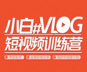 小呆说视–小白VLOG短视频训练营,学会带货、好物、直播、中视频-风淘社