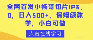 全网首发小杨哥切片IP3.0，日入500+，保姆级教学，小白可做【揭秘】-风淘社