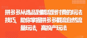 拼多多从选品到截流到付费的玩法技巧,助你掌握拼多多截流自然流量玩法,高投产玩法-风淘社