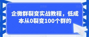 企微群裂变实战教程,低成本从0裂变100个群的-风淘社