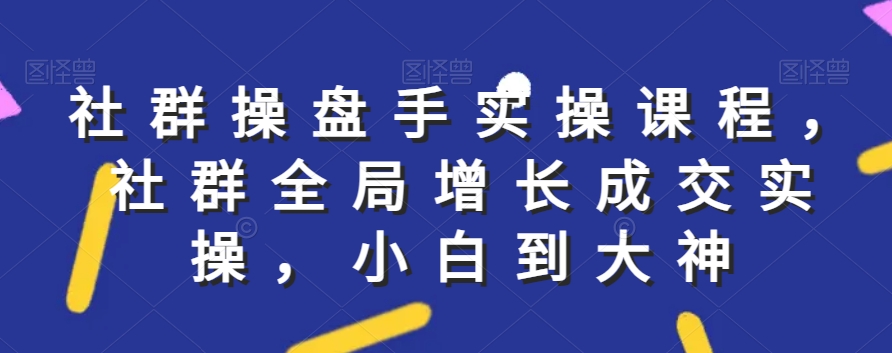 社群实操课程，社群全局增长成交实操，小白到大神-风淘社