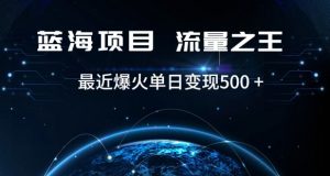 好评返现项目,稳定,小白速学月入过万【仅揭秘】-风淘社