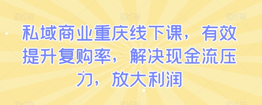 私域商业重庆线下课，有效提升复购率，解决现金流压力，放大利润-风淘社