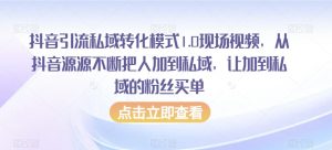 抖音引流私域转化模式1.0现场视频,从抖音源源不断把人加到私域,让加到私域的粉丝买单-风淘社