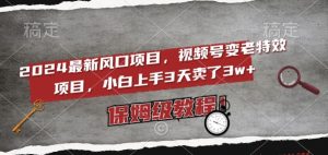 2024最新风口项目,视频号变老特效项目,电脑小白上手3天卖了3w+,保姆级教程【揭秘】-风淘社
