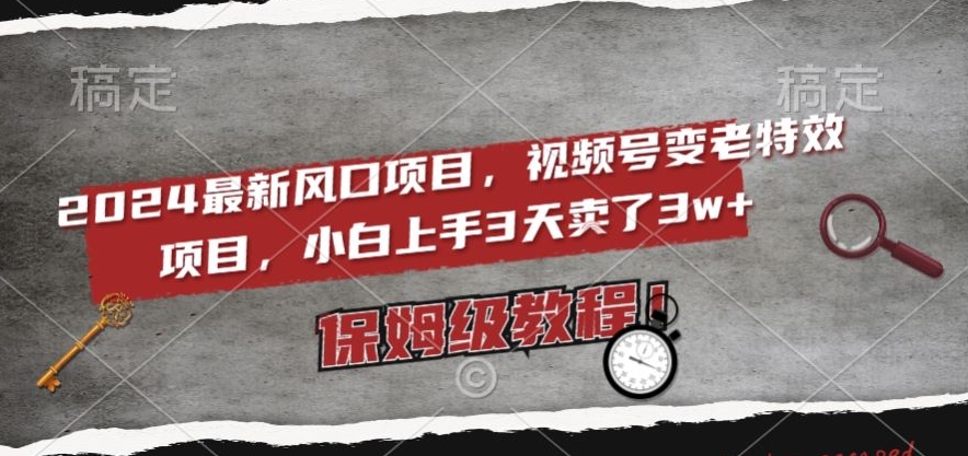 2024最新风口项目,视频号变老特效项目,电脑小白上手3天卖了3w+,保姆级教程【揭秘】-风淘社