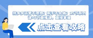 拼多多运营不理想？新手不会做？​15节系列课+2节直播课，直接掌握-风淘社