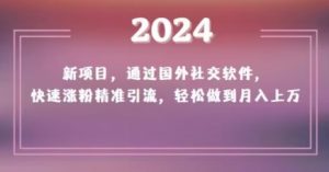 2024新项目,通过国外社交软件,快速涨粉精准引流,轻松做到月入上万【揭秘】-风淘社