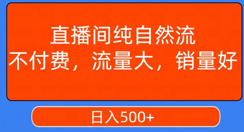 视频号直播间纯自然流,不付费,白嫖自然流,自然流量大,销售高,月入15000+【揭秘】-风淘社