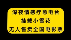 深夜情感疗愈电台，挂载小雪花，无人售卖全国电影票【揭秘】-风淘社