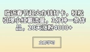 临近春节超火存钱打卡,轻松引爆小红薯流量,3分钟一条作品,20天涨粉4000+【揭秘】-风淘社