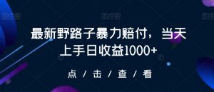 最新野路子暴力赔付,当天上手日收益1000+【仅揭秘】-风淘社