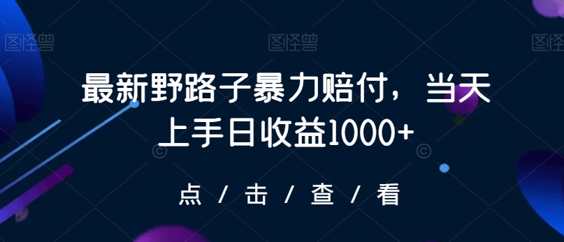 最新野路子暴力赔付，当天上手日收益1000+【仅揭秘】-风淘社