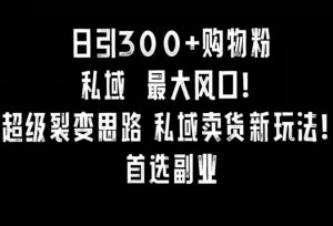 日引300+购物粉，超级裂变思路，私域卖货新玩法，小红书首选副业【揭秘】-风淘社