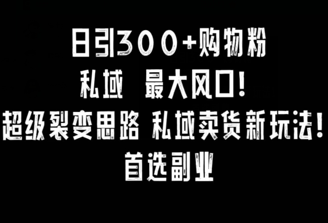 日引300+购物粉,超级裂变思路,私域卖货新玩法,小红书首选副业【揭秘】-风淘社