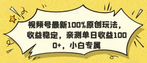 视频号最新100%原创玩法，收益稳定，亲测单日收益1000+，小白专属【揭秘】-风淘社