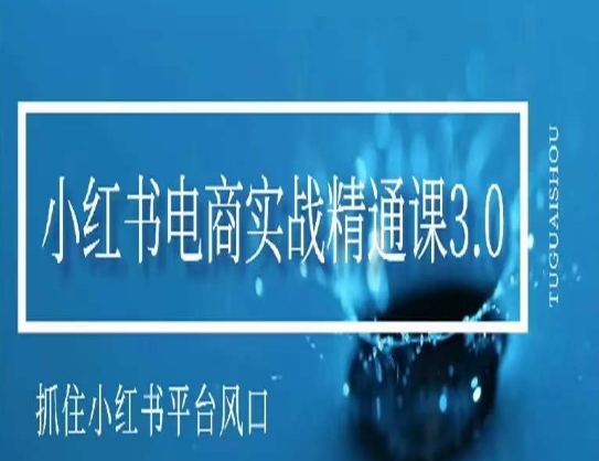 小红书电商实战精通课3.0,抓住小红书平台的风口,不错过有一个赚钱的机会-风淘社
