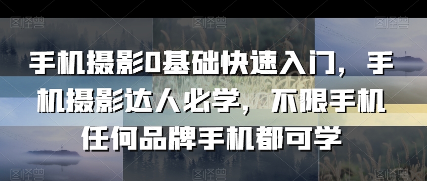 手机摄影0基础快速入门，手机摄影达人必学，不限手机任何品牌手机都可学-风淘社