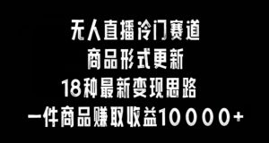 无人直播冷门赛道，商品形式更新，18种变现思路，一件商品赚取收益10000+【揭秘】-风淘社