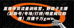 直播带货流量训练营,野路子主播(起新号/专场/打榜/明星网红助播)月播千万gmv-风淘社