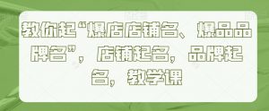 教你起“爆店店铺名、爆品品牌名”，店铺起名，品牌起名，教学课-风淘社