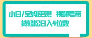 小白/宝妈逆袭!视频号带货轻松日入4位数【揭秘】-风淘社
