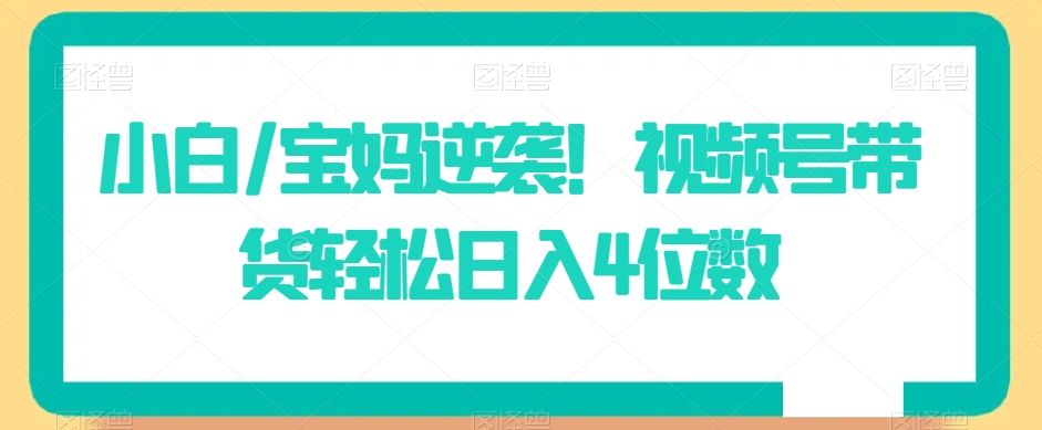 小白/宝妈逆袭!视频号带货轻松日入4位数【揭秘】-风淘社