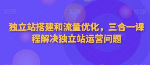 独立站搭建和流量优化,三合一课程解决独立站运营问题-风淘社
