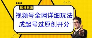 视频号全网最详细玩法，起号过原创开分成，单号日入300+【揭秘】-风淘社