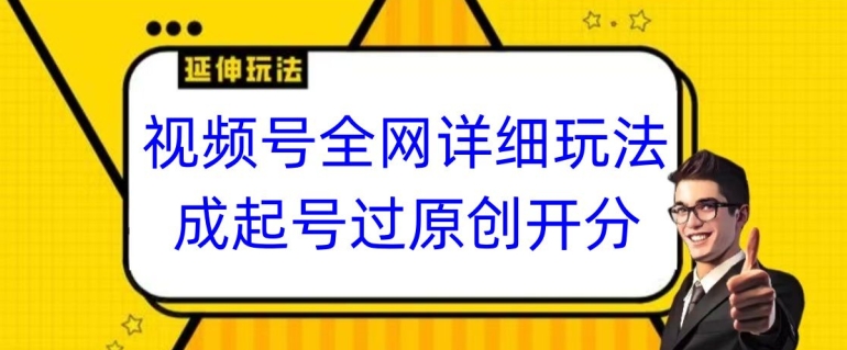视频号全网最详细玩法,起号过原创开分成,单号日入300+【揭秘】-风淘社