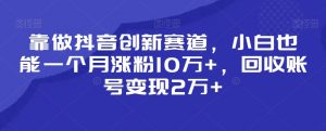靠做抖音创新赛道,小白也能一个月涨粉10万+,回收账号变现2万+【揭秘】-风淘社