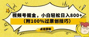 视频号掘金，小白轻松日入800+（附100%过原创技巧）【揭秘】-风淘社