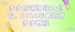 多多店铺挣钱之起店，2024年最新拼多多教程-风淘社