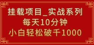 挂载项目,小白轻松破1000,每天10分钟,实战系列保姆级教程【揭秘】-风淘社