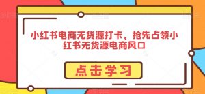 小红书电商无货源打卡，抢先占领小红书无货源电商风口-风淘社