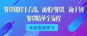 外贸课程大合集,0到1学外贸,新手到外贸精英全流程-风淘社