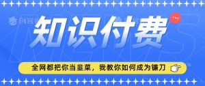 2024最新知识付费项目,小白也能轻松入局,全网都在教你做项目,我教你做镰刀【揭秘】-风淘社