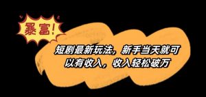 短剧最新玩法,新手当天就可以有收入,收入轻松破万【揭秘】-风淘社