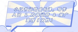 小红书运营成长课,写作入门&内容运营&接广变现【文档】-风淘社