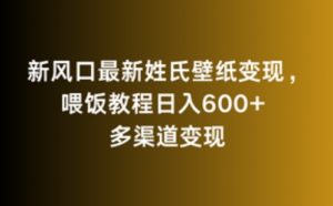 新风口最新姓氏壁纸变现，喂饭教程日入600+【揭秘】-风淘社