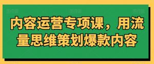 内容运营专项课,用流量思维策划爆款内容-风淘社