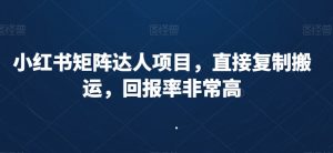 小红书矩阵达人项目，直接复制搬运，回报率非常高-风淘社