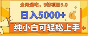 男粉项目5.0，最新野路子，纯小白可操作，有手就行，无脑照抄，纯保姆教学【揭秘】-风淘社