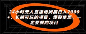 24小时无人直播汤姆猫日入2000+，长期可玩的项目，爆裂变现，一定要做的项目【揭秘】-风淘社