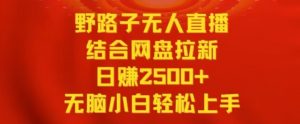 野路子无人直播结合网盘拉新，日赚2500+，小白无脑轻松上手【揭秘】-风淘社
