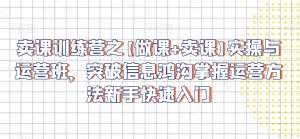 卖课训练营之【做课+卖课】实操与运营班,突破信息鸿沟掌握运营方法新手快速入门-风淘社