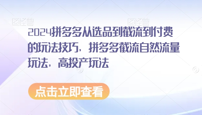 2024拼多多从选品到截流到付费的玩法技巧,拼多多截流自然流量玩法,高投产玩法-风淘社