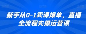 新手从0-1卖课爆单,直播全流程实操运营课-风淘社